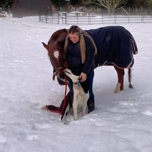 Meet your Posher, Jessie